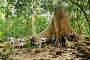 Eco-Tourism Destinations