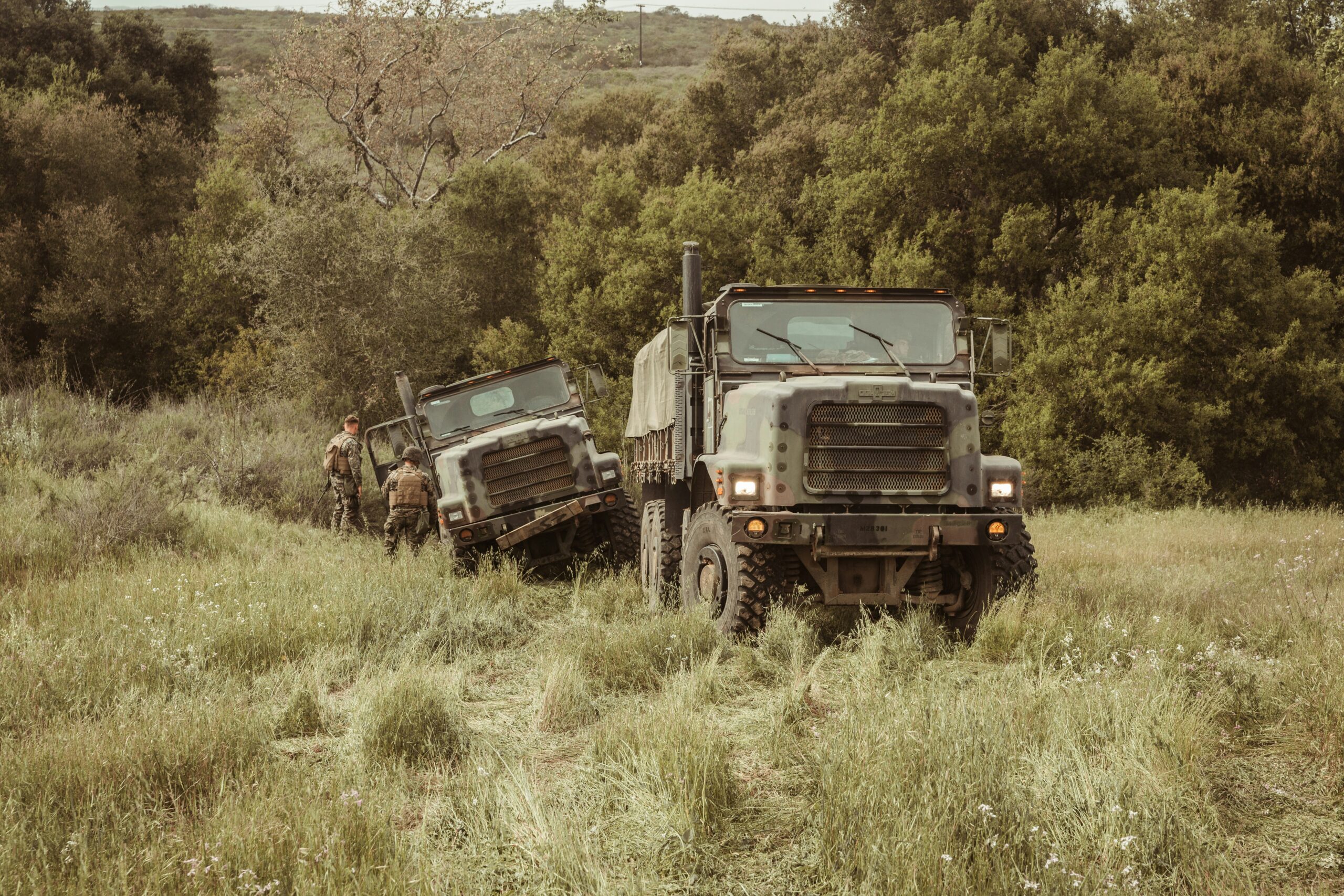 joel-rivera-camacho-0fPujIGNjL8-unsplash