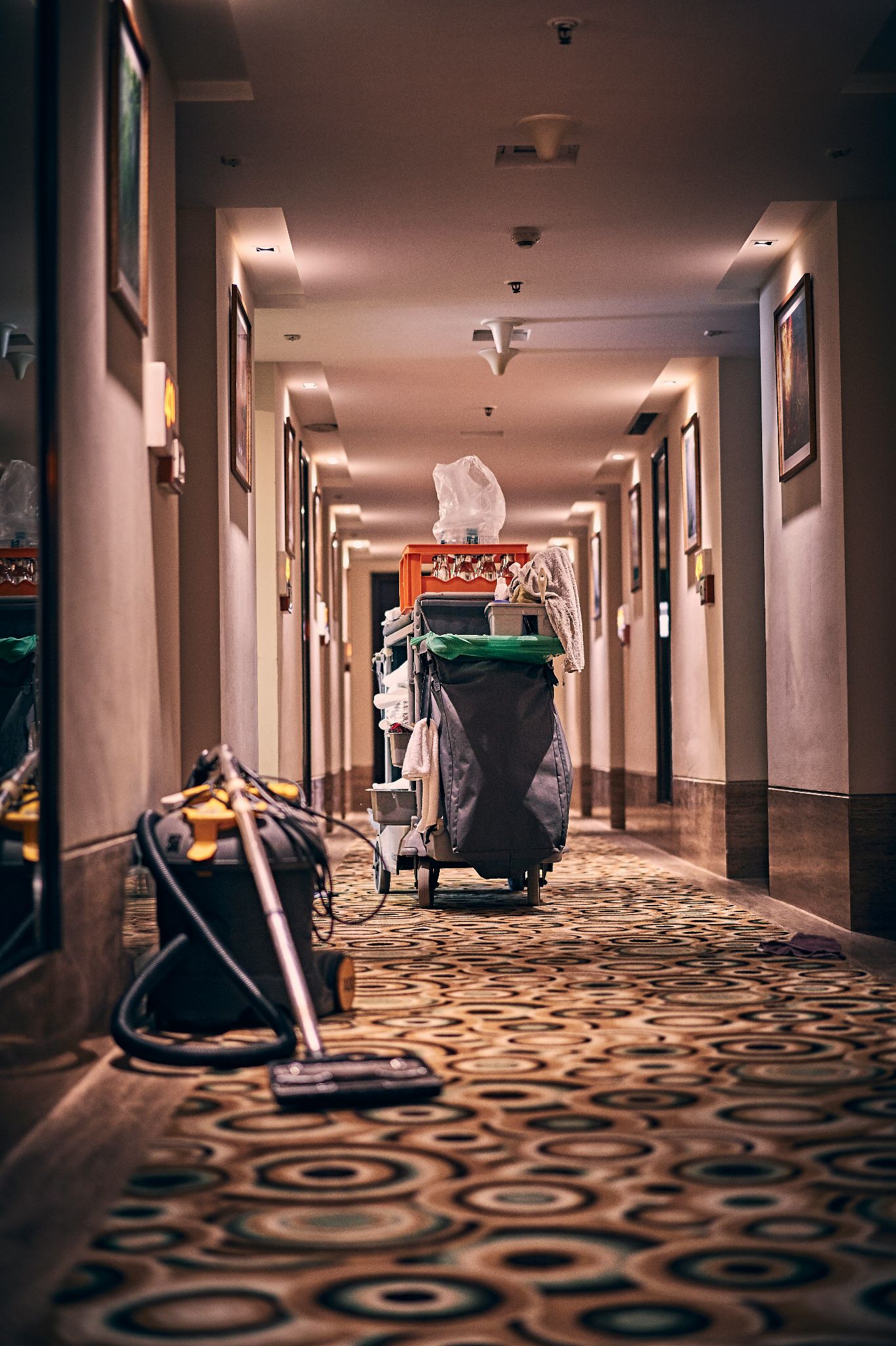 Janitorial
