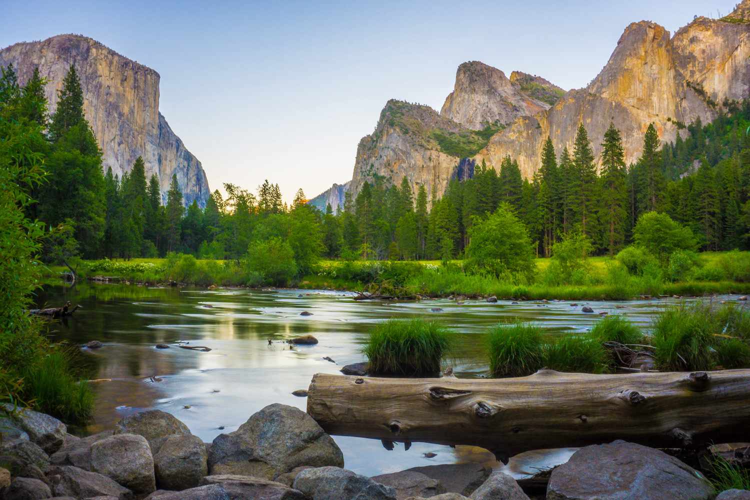 Nature Lovers
