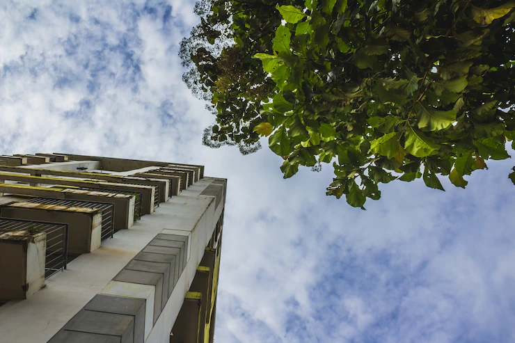 tall-skyscraper-tree_1353-272