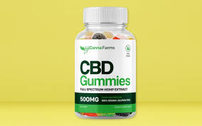 I Tried the Best CBD Gummies for Anxiety—Here’s What Shocked Me