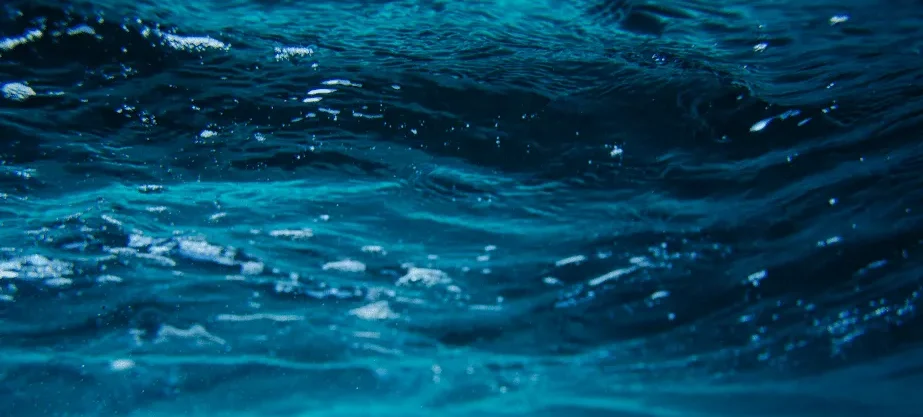 Marine Water Quality