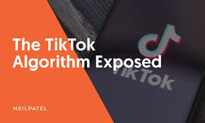 TikTok's Algorithm Revealed