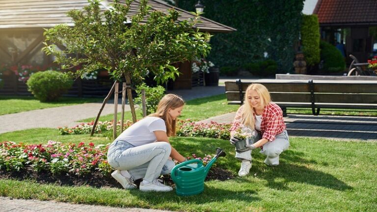garden advice homenumental